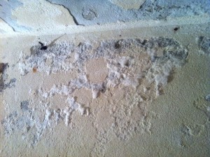 Umidità nel muro con efflorescenze saline umidità di risalita nei muri