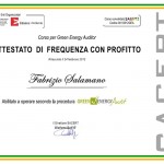 Green Energy Audit - Ingegnere